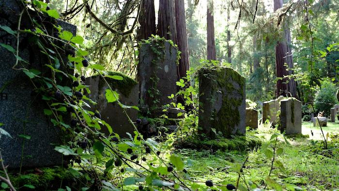 Professional headstone cleaning service in Oregon cemetery