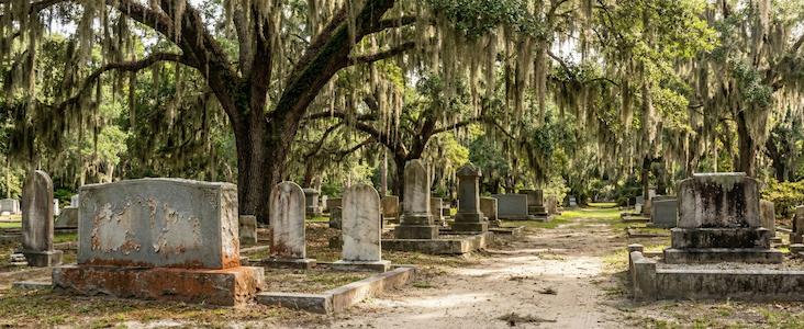 Professional headstone cleaning service in South Carolina cemetery