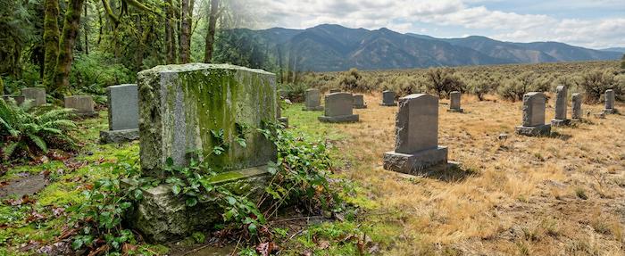 Professional headstone cleaning service in Washington cemetery