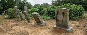 Cemetery in Mississippi