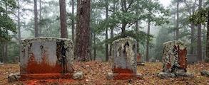 Cemetery in North Carolina