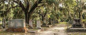 Cemetery in South Carolina