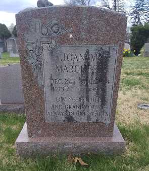 Before professional care: A heavily soiled headstone covered in biological growth and dark crust