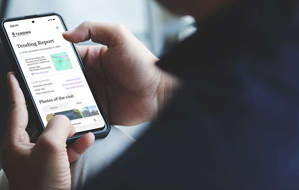 Remote grave care before-and-after photo report verified inside the Tending App