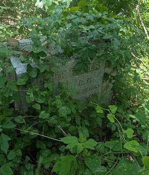 An old, forgotten family burial monument covered in overgrown vegetation before professional cleaning