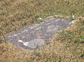 An old marble tombstone covered in dark biological growth, making the genealogical inscription unreadable