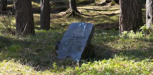Abandoned grave among trees in an untended cemetery