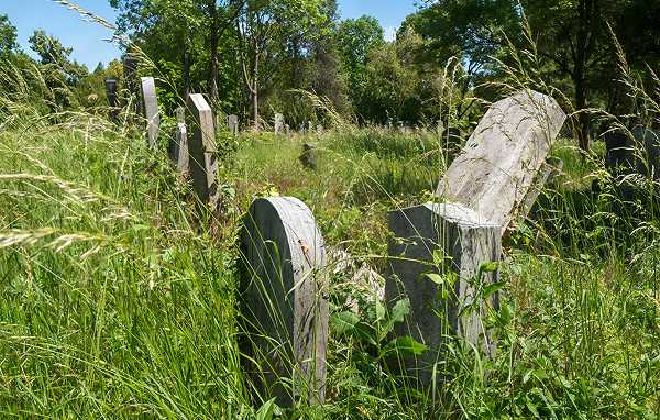 Abandoned graves overgrown with tall grass in a neglected cemetery section