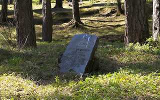 Abandoned grave among trees