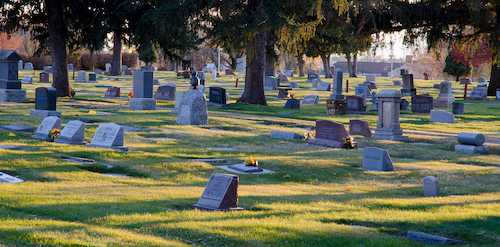Headstones in a cemetery under the shade of tall trees