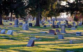 Headstones in a cemetery under the shade of tall treess
