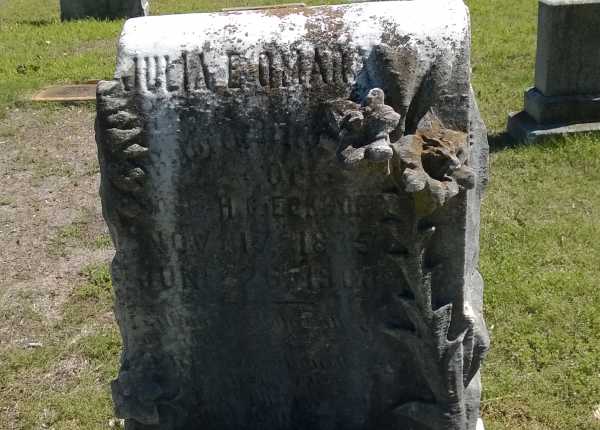 Wet cleaning, deep cleaning, limescale removal, hand painting, and landscape design for a granite upright monument in Alabama | Before